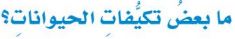 تكيفات الحيوانات